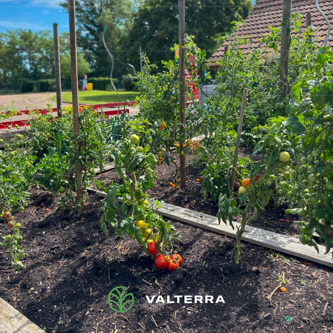 Centre de compostage Valterra Compost Strasbourg